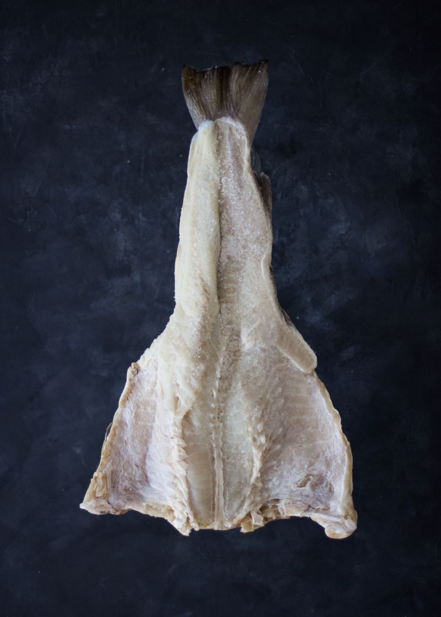 Wetsalted fish